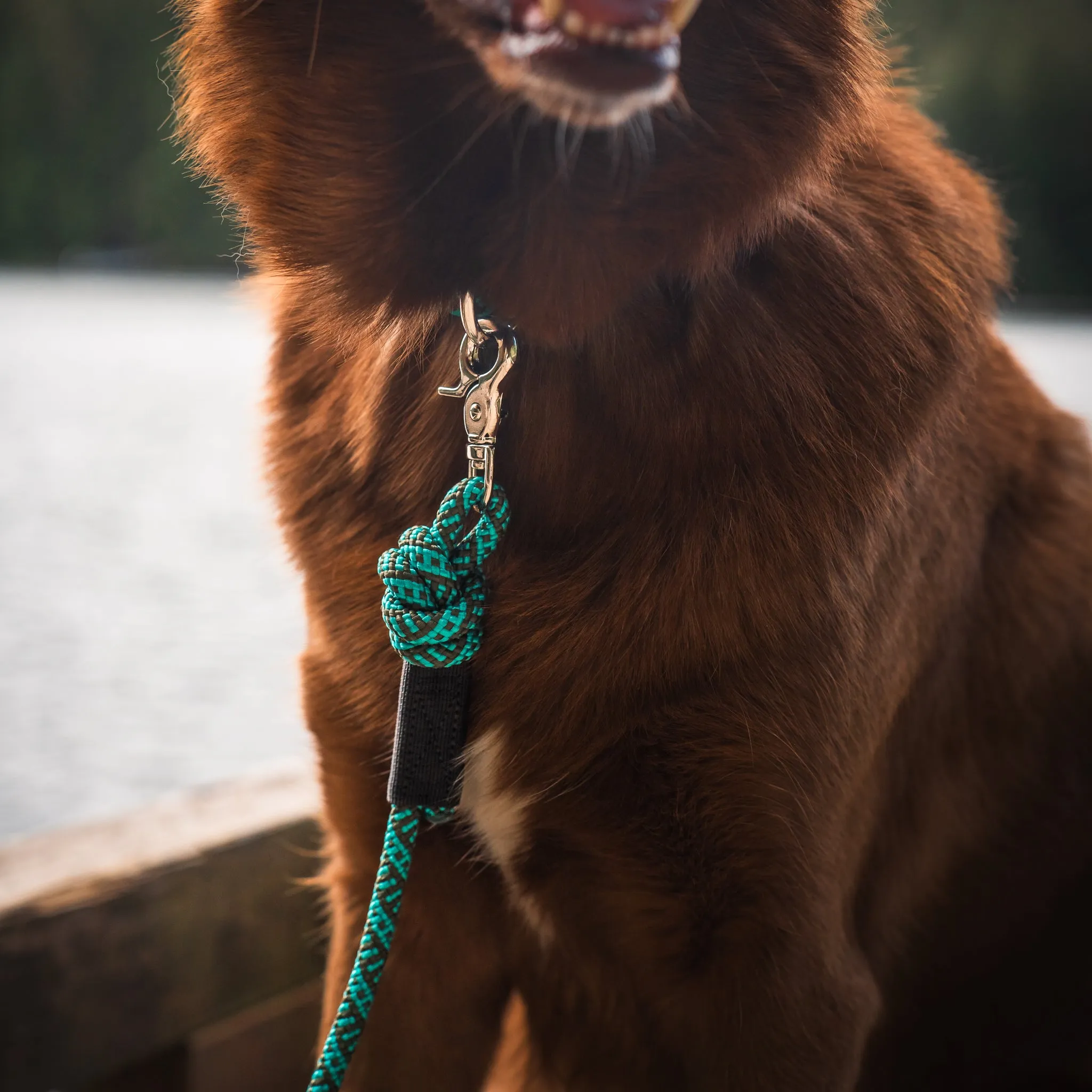 Cascade Quick Clip Leash