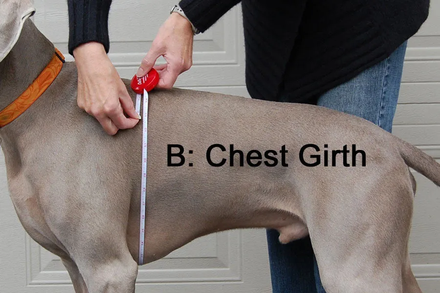Large Dog Cooling Soaker Coat / Bath Robe