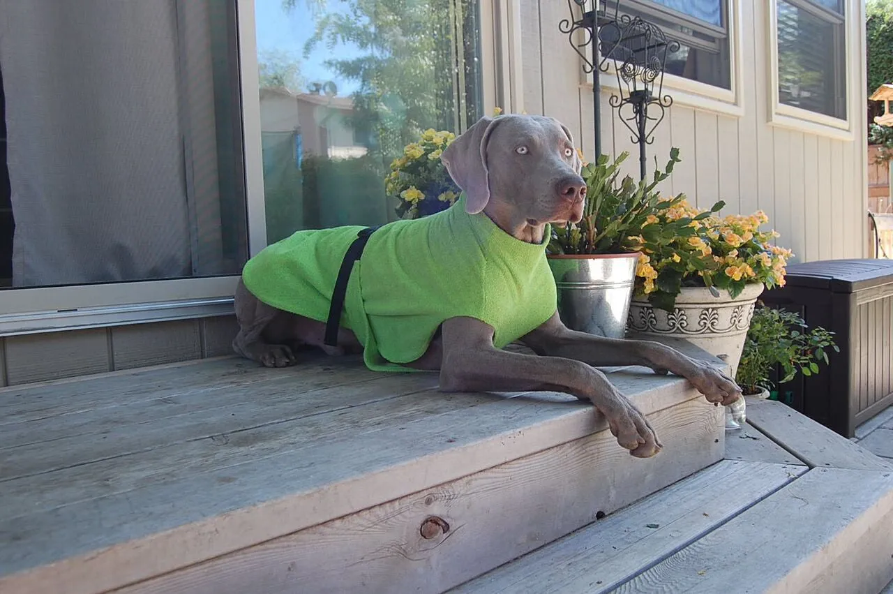 Large Dog Cooling Soaker Coat / Bath Robe
