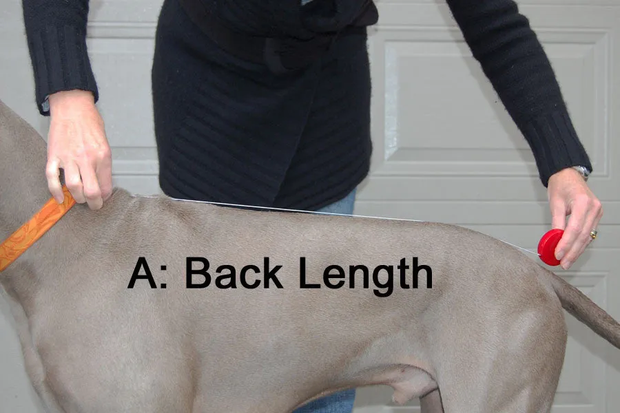 Large Dog Cooling Soaker Coat / Bath Robe
