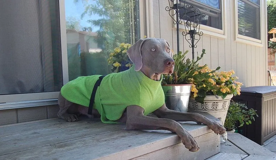 Large Dog Cooling Soaker Coat / Bath Robe