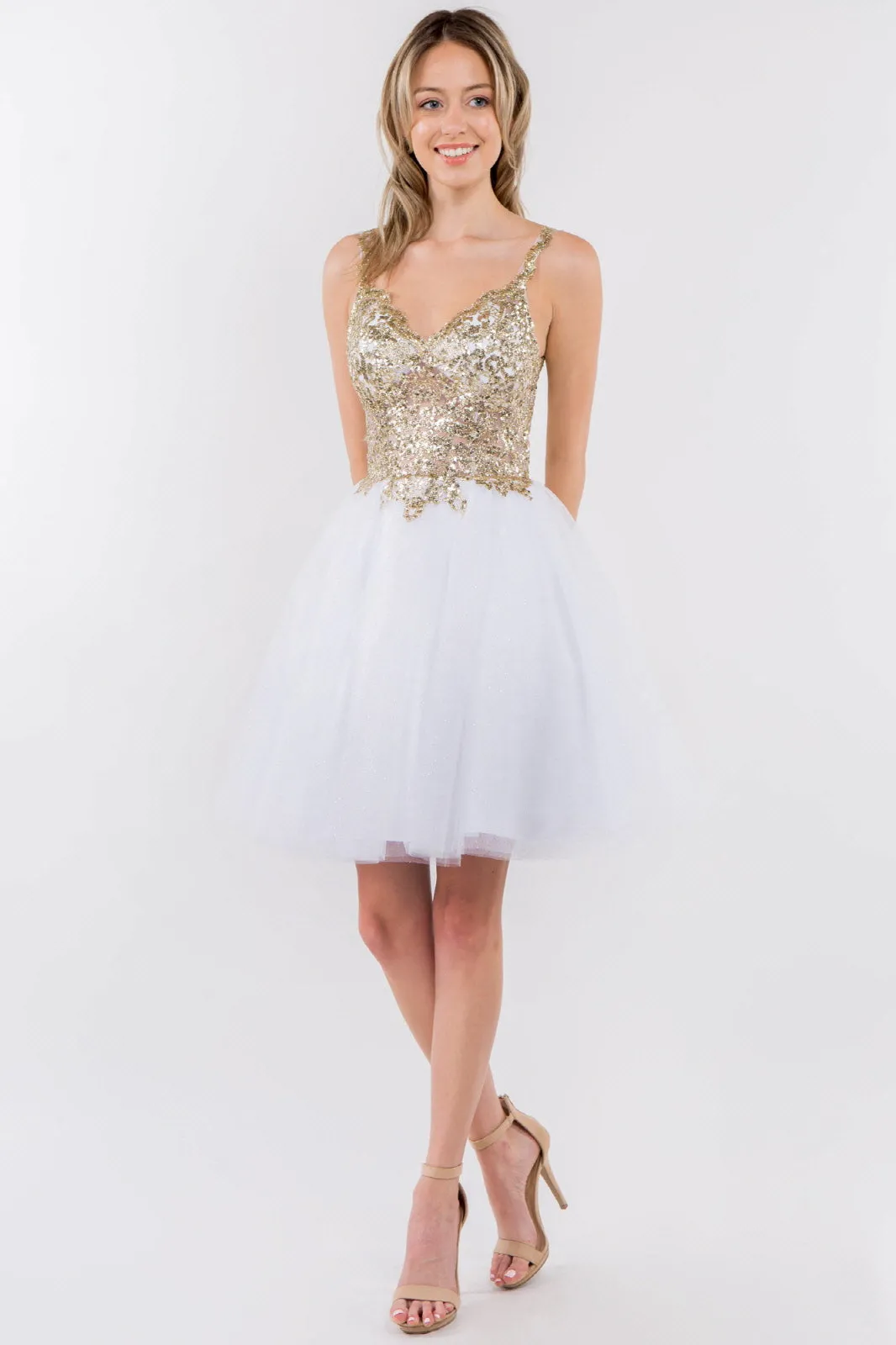 Sequin and Glitter Embellished Sheer Bodice V-Neck Short Dress