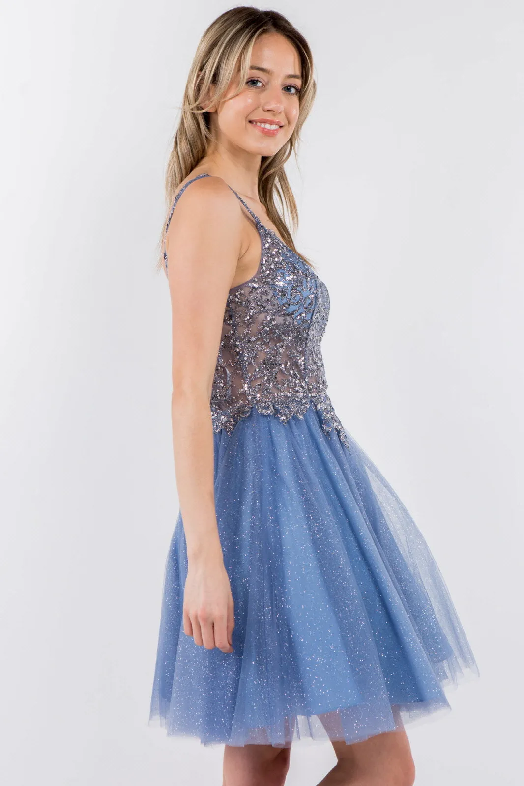 Sequin and Glitter Embellished Sheer Bodice V-Neck Short Dress