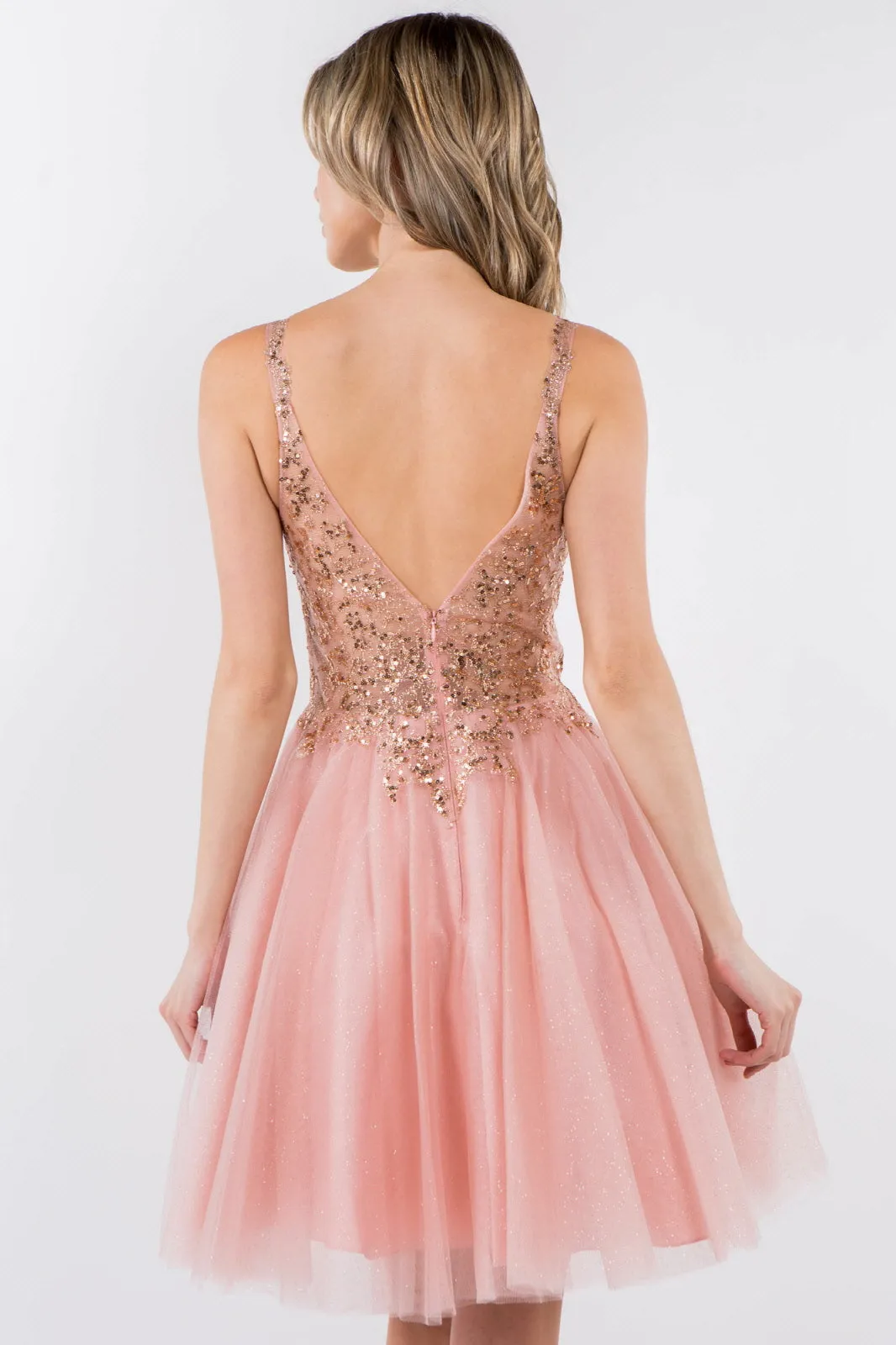 Sequin and Glitter Embellished Sheer Bodice V-Neck Short Dress