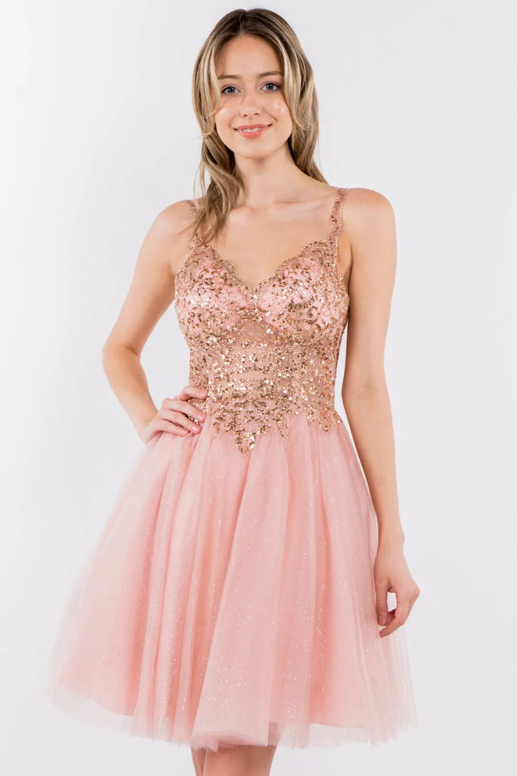 Sequin and Glitter Embellished Sheer Bodice V-Neck Short Dress